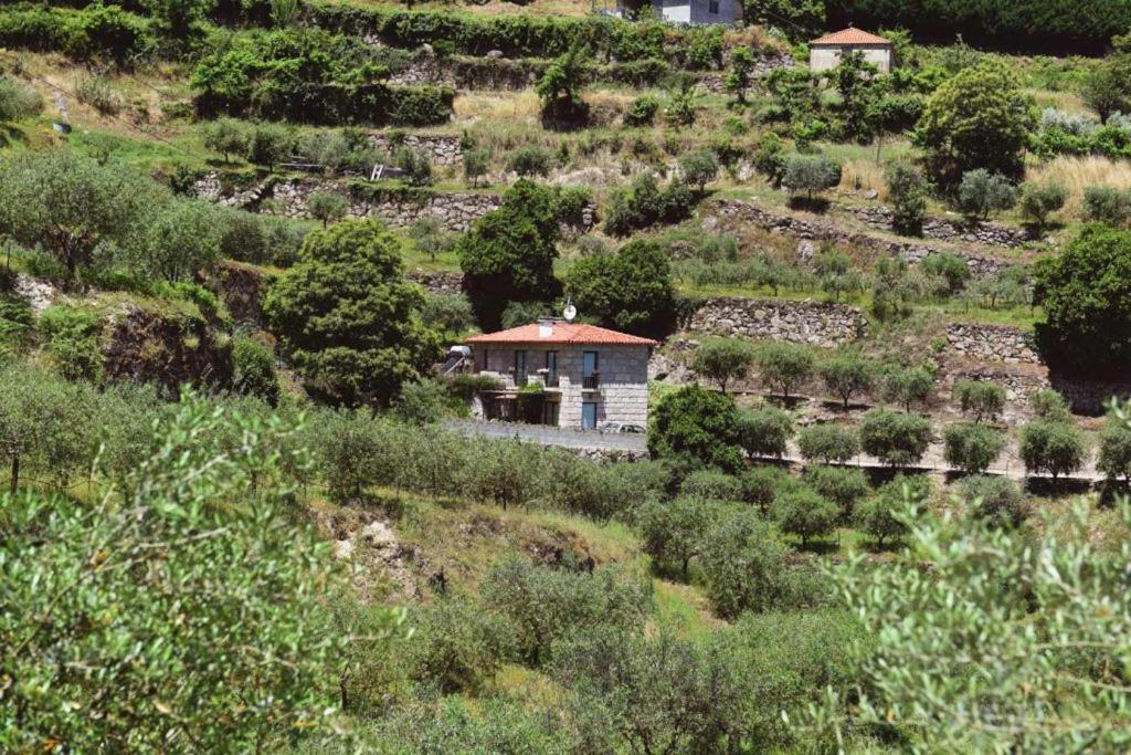 Casa Dos Becos Villa Ribadouro Exterior foto